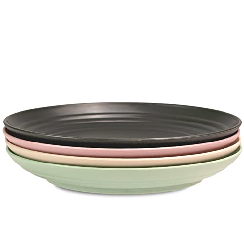 Hausfelder Camping Tellerset 4 Personen 25 cm, 4teilig Kunststoffteller...