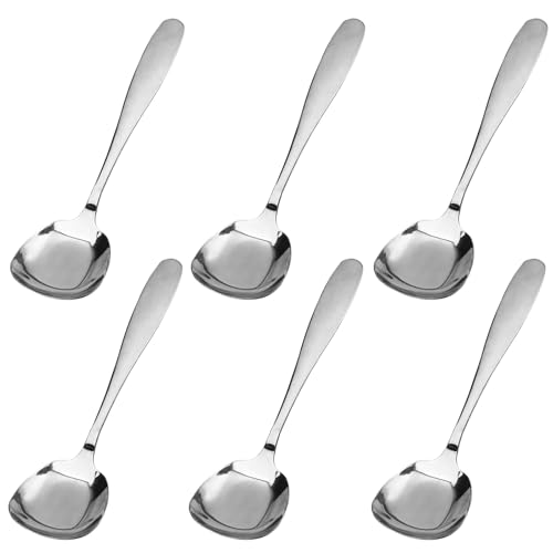 Lot de 6 cuillères à soupe carrées de 17 cm en acier inoxydable, cuillères à sucre carrées de style coréen, cuillère à mesurer en acier inoxydable (acier inoxydable)