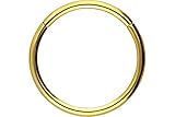 dilatator pupillae ➤ UNIVERSELLE VERWENDUNG, z.B. als Septumpiercing, Nasenpiercing, Lippenpiercing, Ohrpiercing, Augenbrauenpiercing u.v.m