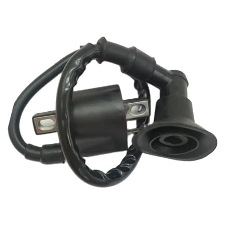 Bobine d'allumage ATV 90CC pour un démarrage stable de moto