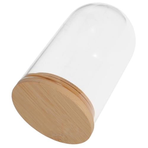 Cabilock Hydroponik -Pflanzer transparente glaskuppel Propagationsbehälter Hydroponische Vase Desktop -Vase Hydroponik -Pflanzenvase Klare Glaskuppel Terrariumbehälter