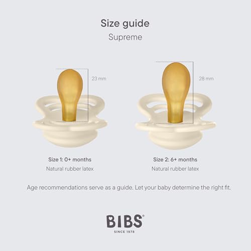 Bibs Ciuccio Confezione Da 2 Pezzi. Privo Di Bpa, Tettarella Simmetrica. Lattice Di Gomma Naturale, Prodotto In Danimarca. Taglia 1 (0-6 Mesi), Cloud/Steel Blue - 2