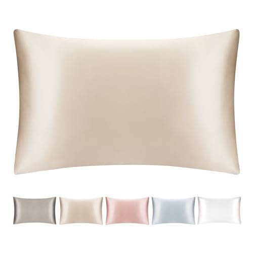 SILKTALE 100% Mulberry Silk Zip Bed Pillow Case for Travel,1pc,Taupe/Beige,Super King Size 50 x 90 cm, 50x90cm
