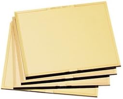 Radnor 4 1/2'' X 5 1/4'' Shade 10 Gold-Coated Poly