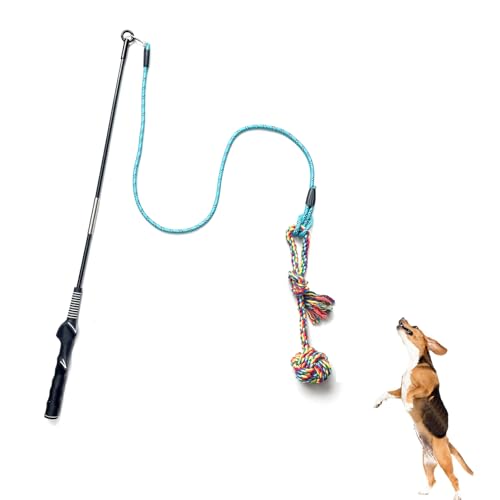 YLEECH pC|[:g[jOAGNTTCYAjp̍ϋvC^NeBueB[U[A^A^^p̃[vA[tϋv̂鉮OvC