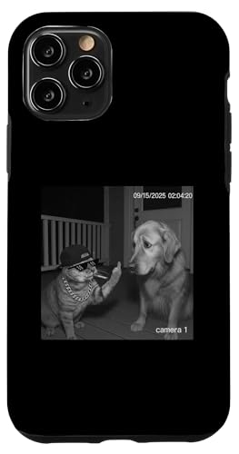 Funny Cat Flipping Off Middle Finger On Security Camera X}zP[X iPhone 11 Pro p