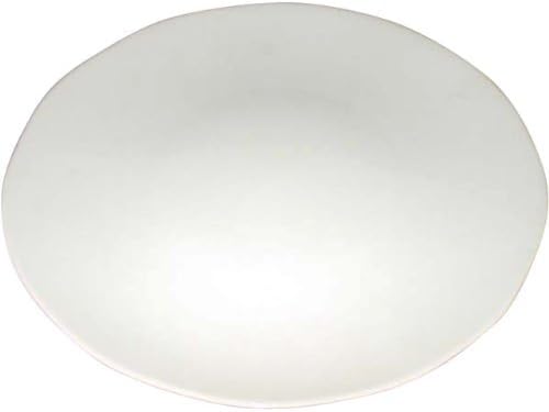 RAO3Z Ranchant Set of 2 Plate (Large) Multi 1802-174257/Φ12.0 x 12.0 inches (30.5 x 3 cm), Plain, Arita Ware, Made in Japan