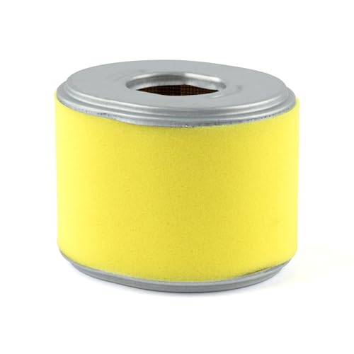 Oregon Filtres à air pour tondeuse à gazon 30-805 moteur thermique pack