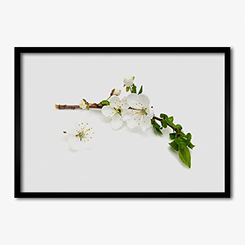 Affiche avec cadre plante et fleur sauvage pour créer un salon zen et lumineux