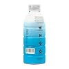 PRIME Hydration IShowSpeed Special Edition | Sports Drinks | Electrolyte Enhanced for Ultimate Hydration | 250mg BCAAs | B Vitamins | Antioxidants | 2g Of Sugar | 16.9 Fluid Ounce | 12 Pack (16.9 fl oz (Pack of 12), Blue Freeze)