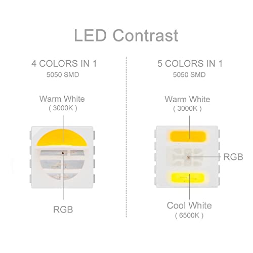 Tira de luces LED RGB WW CW 5 m DC12V IP65 impermeable miniatura 2