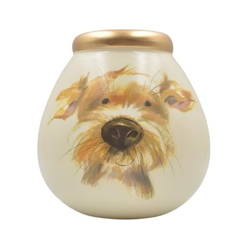 Pot Of Dreams Money Banks, Ceramic, White, 14cm x 14cm x 14cm