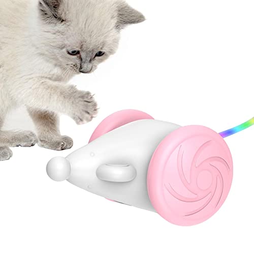 iBaste Juguete eléctrico para Gatos y Ratones - Juguetes interactivos para Gatos para Hacer Ejercicio | Juguetes automáticos para Gatos con Luces LED, Juguetes de Ejercicio para Mascotas Recargables Cover