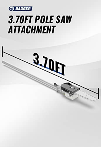 Sunseeker 10-Inch Pole Saw With 30-Inch Shaft Universal Attachment, Articulating Pole #TOP3