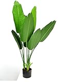 ✅IMITAZIONE PERFETTA: Anche il fiorista più accanito si illuderà che la pianta sia naturale, il che è un'ulteriore prova della buona qualità del fiore.