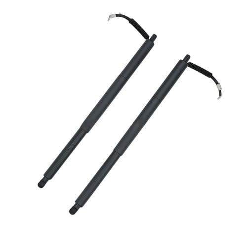 Jambe de force de hayon électrique automatique et silencieuse pour BMW X1 F48 F49 51247350837