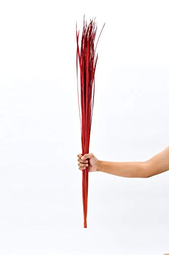 Image of Leewadee Tall Vase Filler , Natural Grass Stems - 2 Bunches of Colored Branches for Vases, Carefully Dried Twigs for Home and Bar Decoration, 45 inches, Red