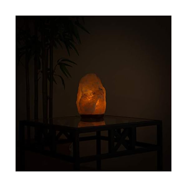 Biova Salz Kristall Stein Lampe Salzlampe Leuchte ca. 9 -12 kg in 1A Qualität – Bild 7