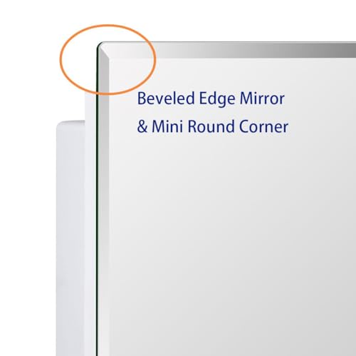 IDYLLOR Plastic Medicine Mirror Cabinet for Bathroom 16 x 26 inch, Surface and Recessed Mount