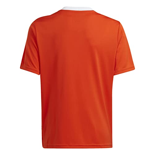Adidas Boys Jersey (Short Sleeve) Team Icon 23 Jersey, Team Orange, IC1254, 128 – Ansicht 2