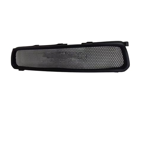 Parrilla de Parachoques Delantero Compatible con Toyota y RAV4 2006-2008 Accesorios de Coche Parrilla Churrasqueira