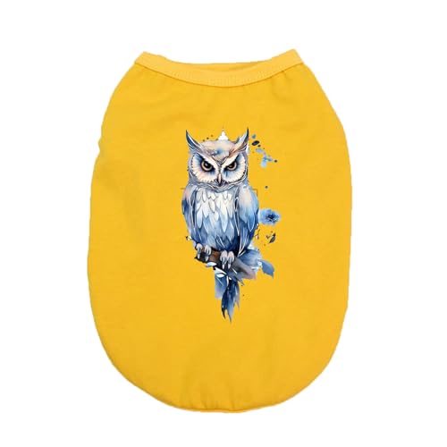 ZSDGBZ CG[  ėp ⊴ TVc ^  XXL ʋC  ΍ p^Ngbv t Ă΍ 畆ی X|[cEFA JWA Lk  o U