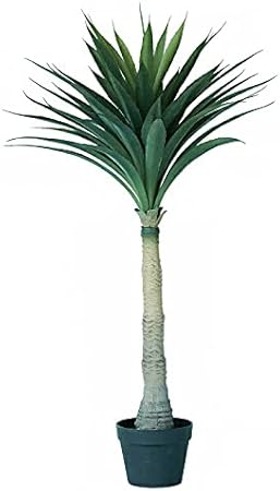 Amazon Co Jp 人工観葉植物 アガベサイザラーナポット109 1個 630 1 多肉植物 代引き不可 インテリア フェイクグリーン 造花 Pot Succulent P57 ホーム キッチン Amazon Co Jp 人工観葉植物 アガベサイザラーナポット109 1個 630 1 多肉植物 代引き不可 インテリア フェイクグリーン 造花 Pot Succulent P57 ホーム キッチン