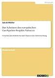  Das Scheitern des europäischen Gas-Pipeline-Projekts Nabucco: Ursachen des Scheiterns und Chancen der Zielerreichung