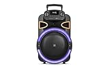 Fisher Bluetooth PA Stereo Speakers System-Karaoke Portable Wireless DJ, 15' 80W Peak Power, Loud HD Sound & LED Lights, Rechargeable, TWS, Equalizer, MIC Input, FM Radio, Indoor/Outdoor Party