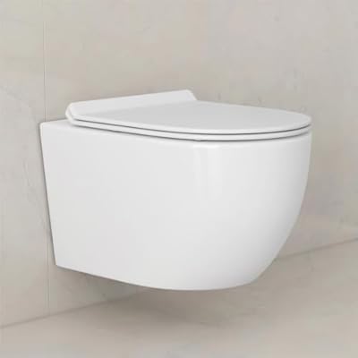 Wall Hung Toilet, Eridanus Wall Mounted Toilet Elongated In-Wall Toilet, Adjustable Floating Toilet Bowl With Soft-Close Seat, Dual Flush Compact Rear Outlet Toilet, Glossy White