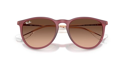 Image of Ray-Ban RB4171 Erika Round Sunglasses