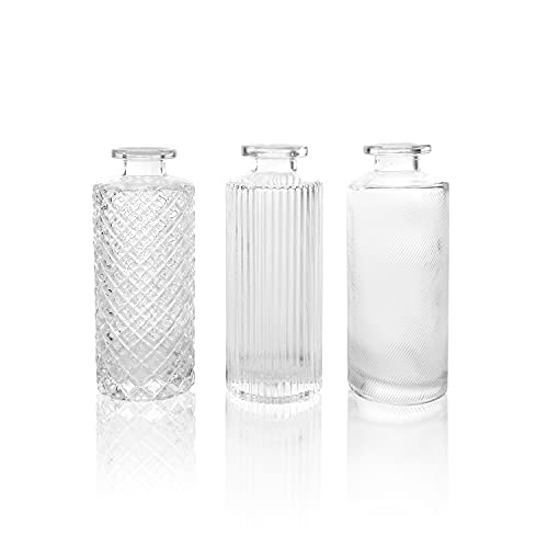 DN DECONATION Small Clear Vases for Centerpieces, Decorative Glass Vases Set of 3, Mini Bud Vases, Assorted Small Flower Vases for Decor