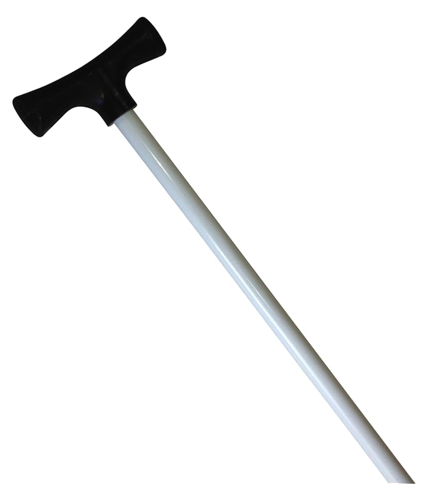 Stick It Anchor Pins for Shallow Water- 7' White Anchor Pin Only