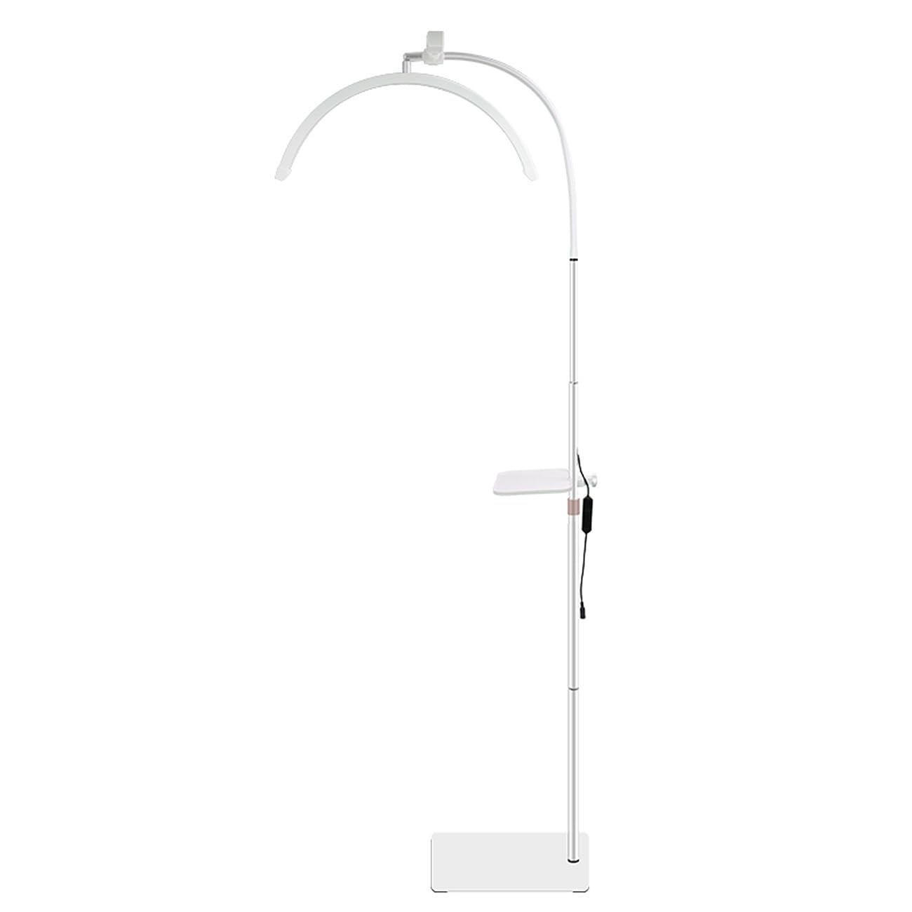ayex LED Beauty Lampe dimmbar höhenverstellbar U-Bogen Stehlampe mit Ablage Kosmetik Tattoo wimpern weiß 36W