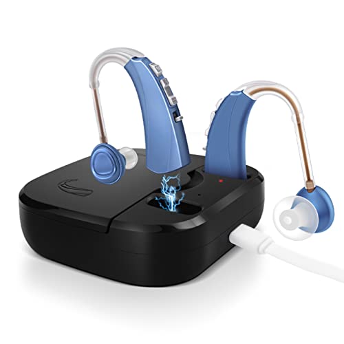 Britzgo Hearing Aids For Seniors,Rechargeable And Noise Cancelling,Sound Amplifier With Four Modes,One Charge For 48H(2 Pieces) #TOP20
