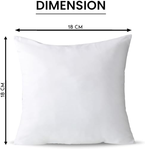 LSC 2 Pack Luxury 18” x 18” 45cm x 45cm Cushion Inserts Hollow Fibre Cushion Pads Bounce Back Square Cushion Inner for Sofa Bed Couch Scatter Cushions (PACK OF 2, 18"X18" (45cm x 45cm))