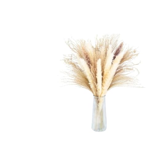 Ramo de Pasto Pampas Seco Natural Grande 40-45cm miniatura 1