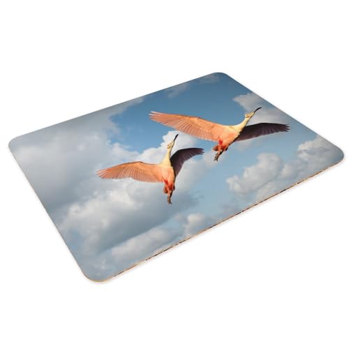 Sets de table anti-rayures dessous liège napperons souples lavables - 3