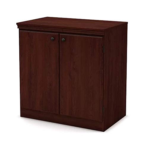 Shilpi 2 Door Accent Cabinet in Sheesham Finishing (Brown)-image-45