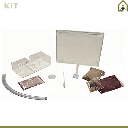 image for AntHouse - Natural Sand Ant Farm | Medium Kit | Acrylic Sandwich (9.84