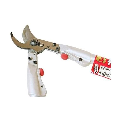 󍁍H 荞݂΂ݑ֐n 190859 {: s7.5cm {: 1.0cm {: 5cm