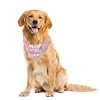 Adopt Me Dog Bandana, Adopt Me Pets, Gift for Dog Lover, Dog Bandana for Small Medium Dogs, Photo Prop Pet Scarf Accessories for Pet (C32)