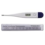 Thermometer World
