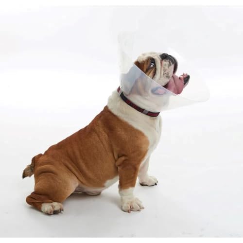 Buster Collare per Cani Brachycephalic Grande