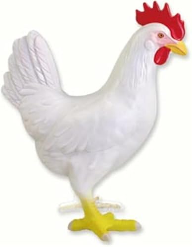 Biologie animale et anatomie d'organe de poulet modèle d'assemblage 4D - 4