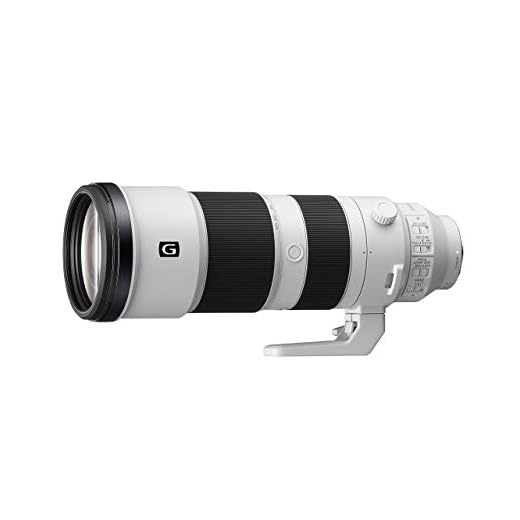 Sony FE 200-600mm Telephoto Zoom Lens
