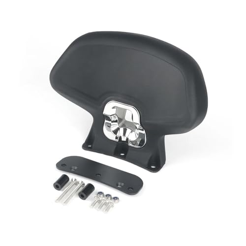 Dossier passager moto ergonomique élimine la fatigue du dos sur Chinf 318 Li Ke
