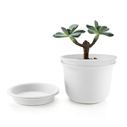 MissFox Blumentopf 15cm Durchmesser 2er Set, Pflanztöpfe Kunststoff mit Untersetzer, Kleine Blumentöpfe mit Ablauflöchern, Pflanzkübel Rund für Innen und Draußen Pflanzen Sukkulenten Kaktus