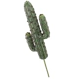 Décoration cactus artificiel : sa fabrication et ses détails soignés apportent une touche naturelle à votre décoration. artificiel