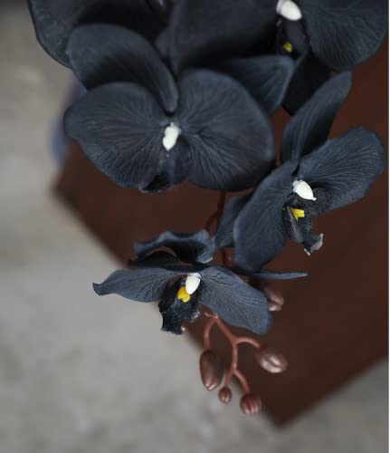 Rikyo 8 Heads Faux Orchid,40" Bouquets 2 Stem Phalaenopsis No Fade Petals Fake Flowers Forever Plants For Home Decoration, Office Decor,Wedding Party Decoration (Black) #TOP2